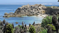 July 11, 2017, Pacific Coast Highway, Monterey, Carmel & Redwood Forest